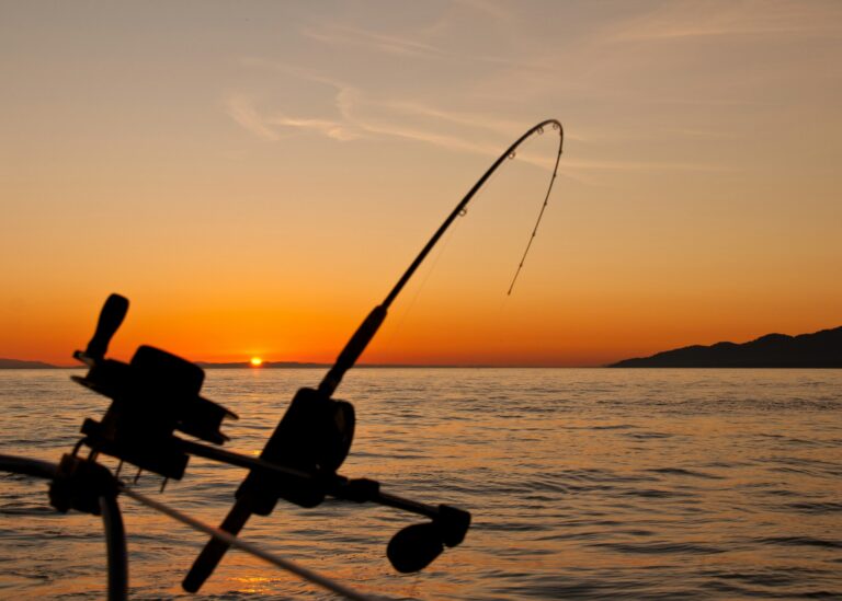 sport fishing