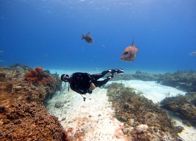 tour cozumel