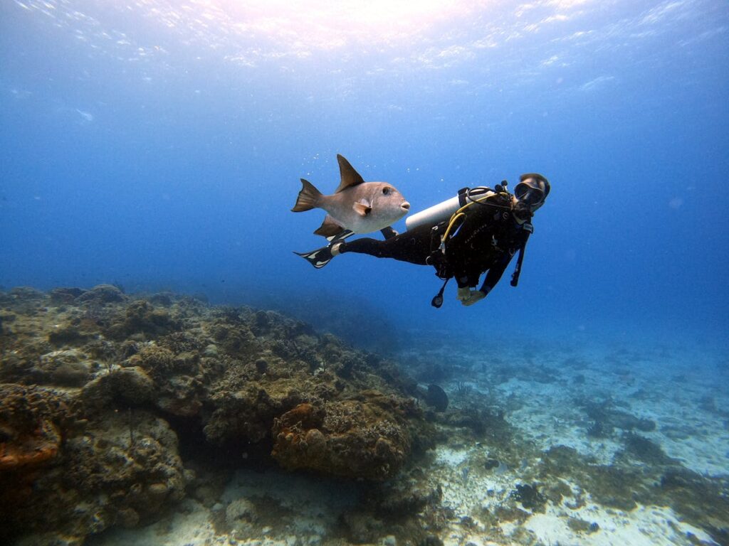 cozumel- beaches mexico