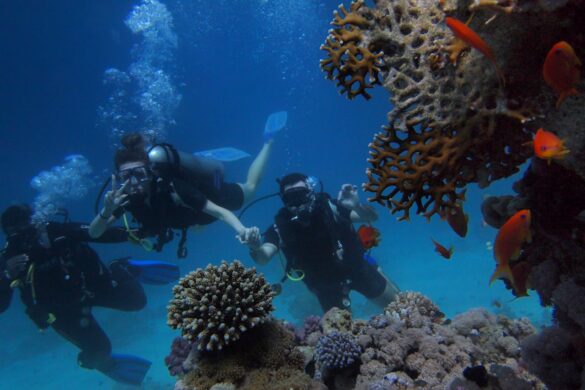 scuba diving los cabos