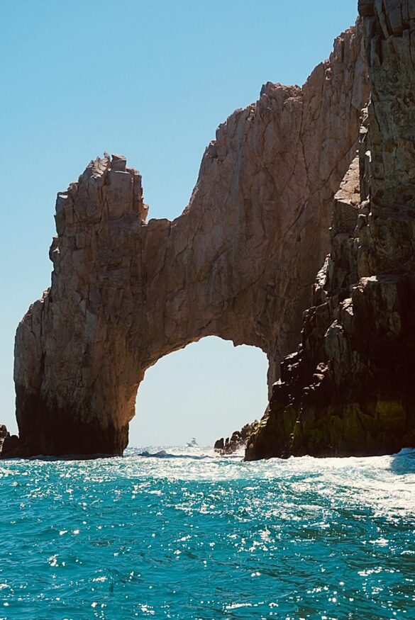 SCUBA DIVING LOS CABOS