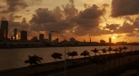 miami