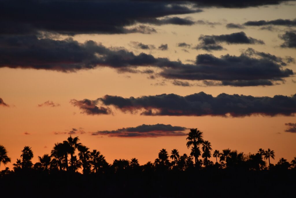 arizona