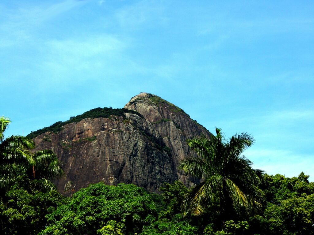 TRILHA DA PEDRA DA GÁVEA, RIO DE JANEIRO (RJ)