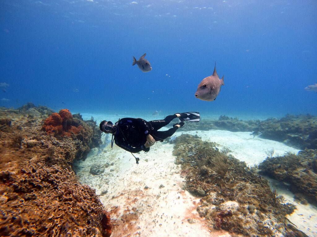 MAR COZUMEL