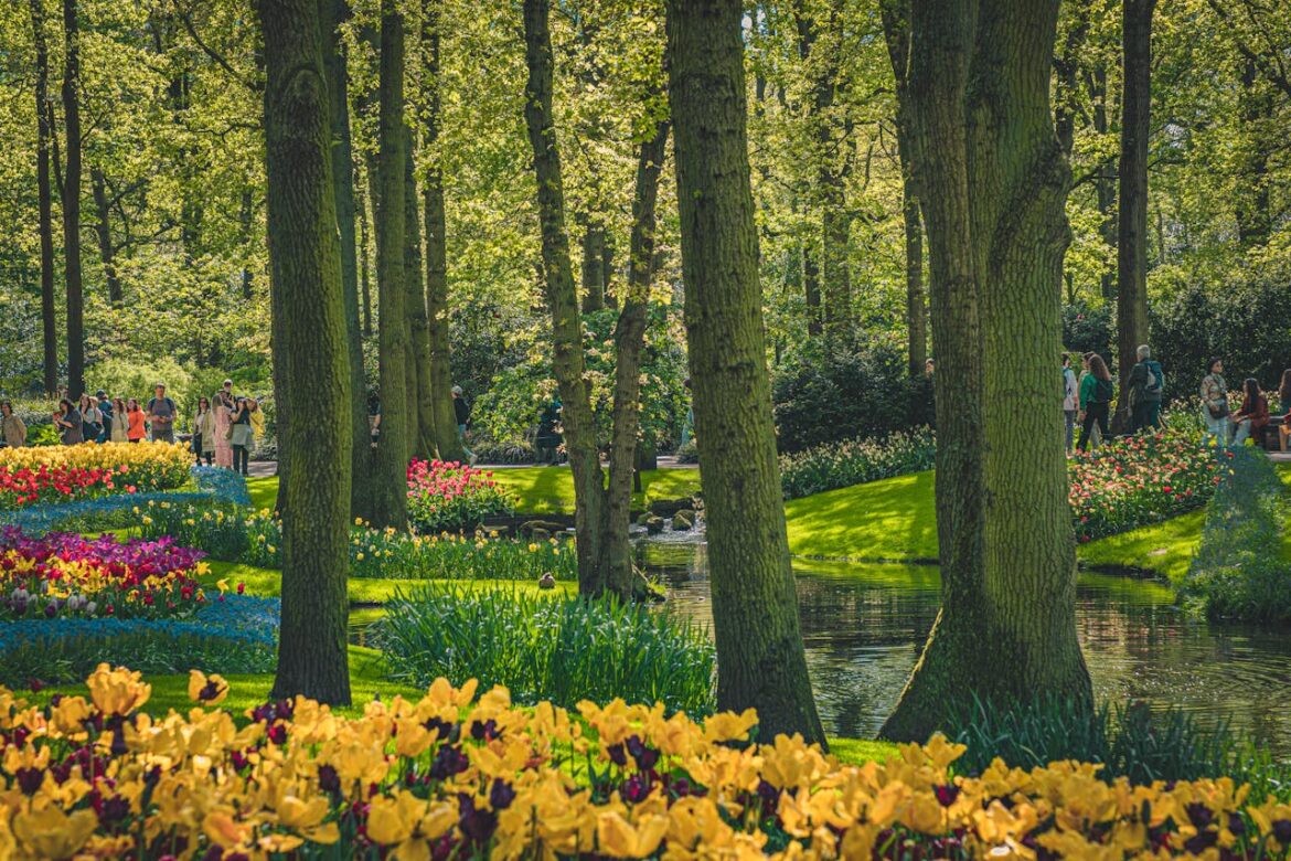 Primavera buenos aires