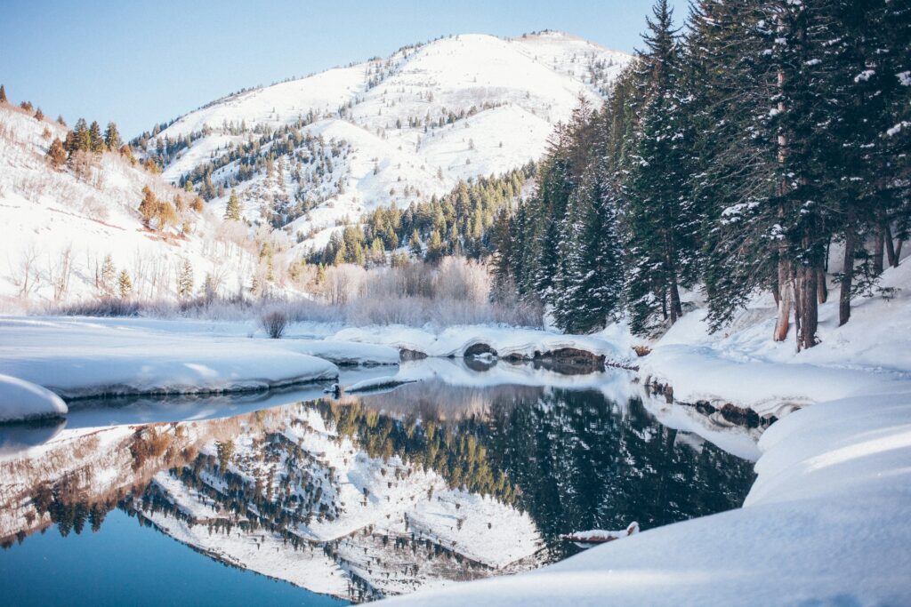 viaje de invierno