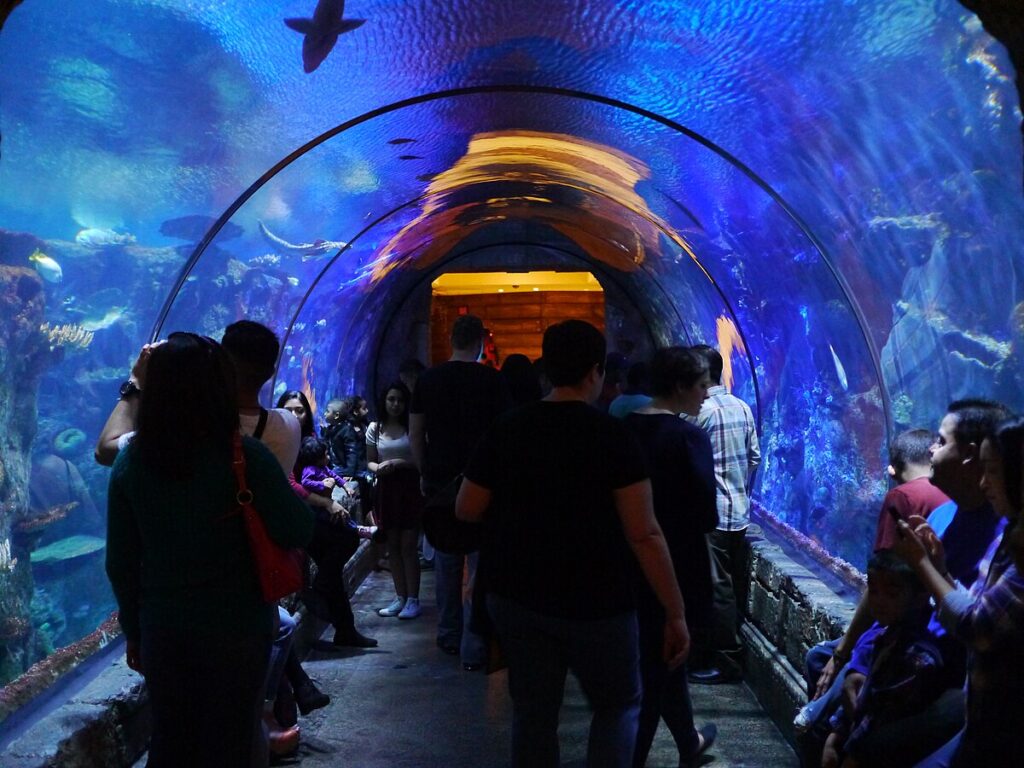 MANDALAY BAY SHARK REEF AQUARIUM