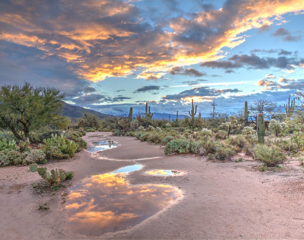 arizona estados unidos arizona estados unidos