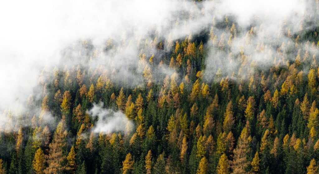 viajando otoño