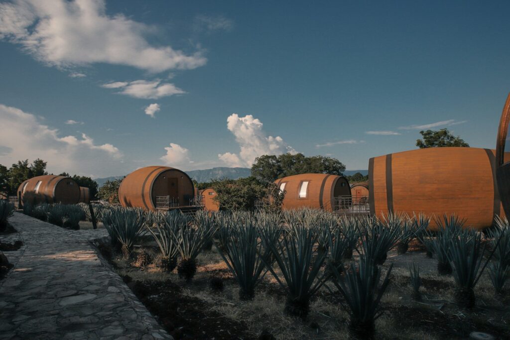 tequila jalisco